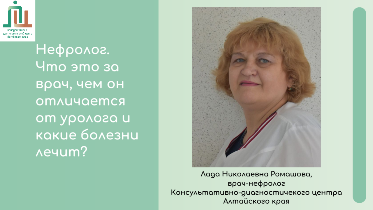 Нефролог. Что это за врач, чем он отличается от уролога и какие болезни лечит?