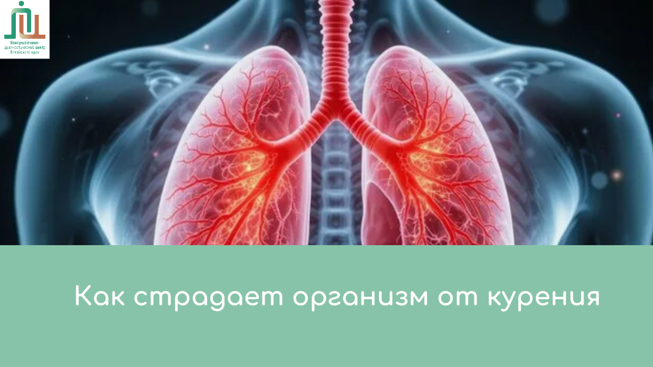 Как страдает организм от курения