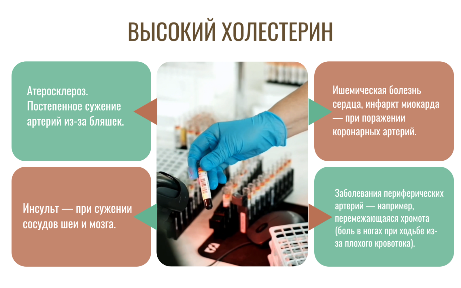 Почему важно знать свой уровень холестерина?